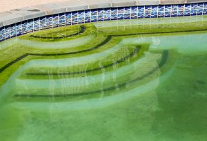 Signs You Need a Professional Pool Cleaning Service